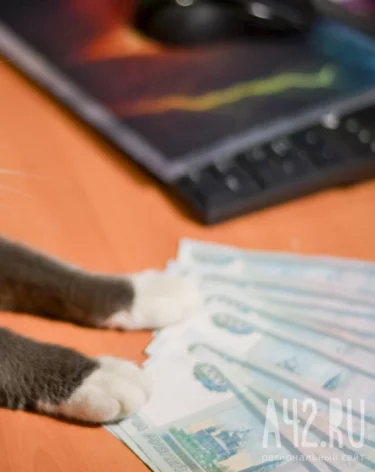 Хирург-имплантолог и травильщик вошли в топ вакансий по доходу в Кузбассе