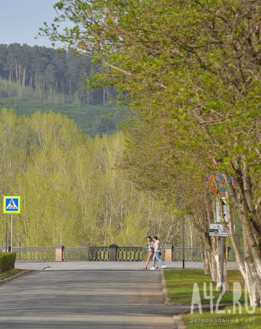 Фото: A42.RU