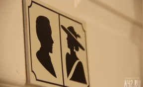 В Кемерове в общественных местах будут устанавливать бесплатные уличные туалеты, открытые круглый год