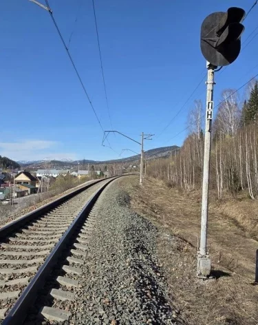 Фото: <a href=https://t.me/utsibfo/8460>УТ МВД России по СФО</a> / Телеграм