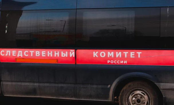 В Ульяновске в квартире обнаружены тела 27-летней женщины и её дочерей
