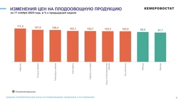 Инфографика: Кемеровостат