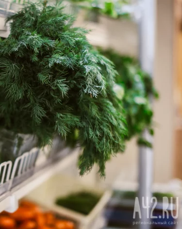 За год услуги в Кузбассе подорожали на 10,3%