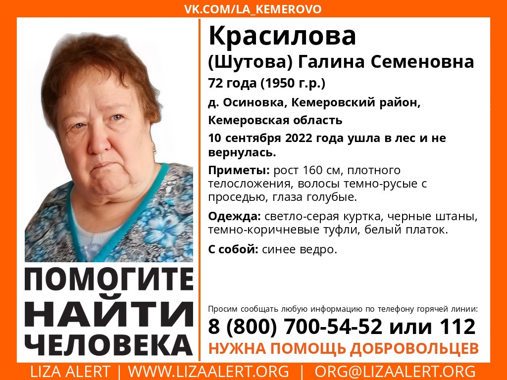 В Кузбассе разыскивают пенсионерку, ушедшую в лес с синим ведром