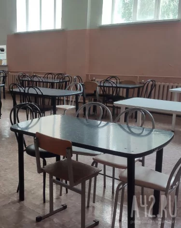 В Новокузнецке студентка техникума пожаловалась на гусениц в еде