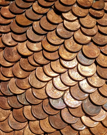 Француз нашёл клад на 700 000 евро, выкапывая яму под бассейн 