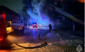 В Чувашии на птицефабрике произошёл пожар на площади 2100 квадратных метров