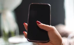 Житель Кузбасса сдал в ломбард чужой телефон