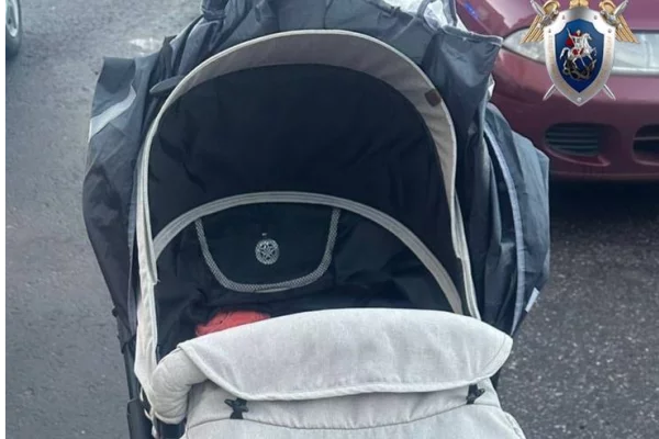 В Санкт-Петербурге рядом с мусоркой обнаружили брошенного младенца в коляске 
