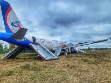 Фото: В Росавиации прокомментировали аварийную посадку рейса Сочи — Омск  1
