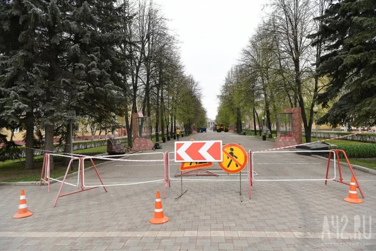 Фото: В Кемерове начали вырубать опасные липы на Аллее Героев 9