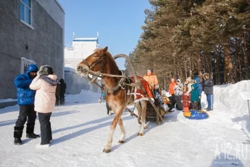 Фото: Зимний фестиваль в «Притомье» 3