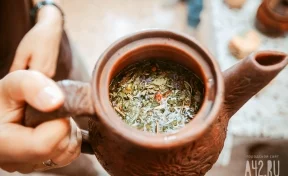 Сейсмолог и сортировщик чая: названы самые необычные вакансии в Кузбассе