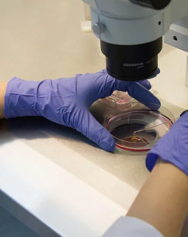 В Роспотребнадзоре назвали самую поражённую ВИЧ группу людей