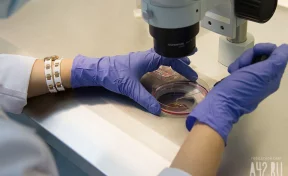 В Роспотребнадзоре назвали самую поражённую ВИЧ группу людей