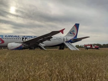 Фото: Названа причина аварийной посадки самолёта Сочи — Омск в поле под Новосибирском  1