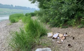 Кемеровчане возмущены оставленным после фейерверка на острове мусором