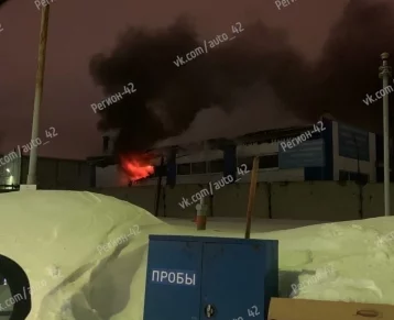 Фото: Обгорели 8 машин: названа предварительная причина пожара в кемеровской СТО 1