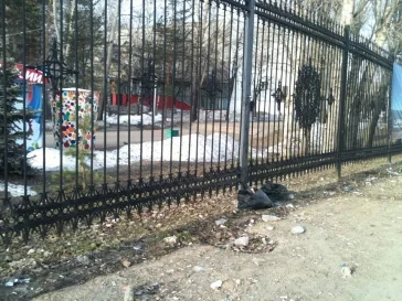 Фото: Кемеровчане возмущены грязными улицами и парками 2