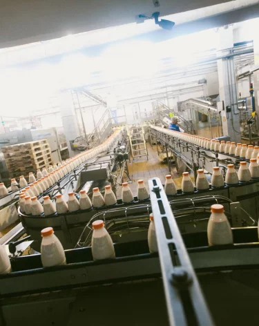 Биолог рассказала о влиянии молока на умственные способности