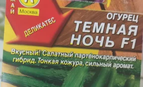 В Кузбассе магазины незаконно продавали «Невесту» и «Египетскую силу»