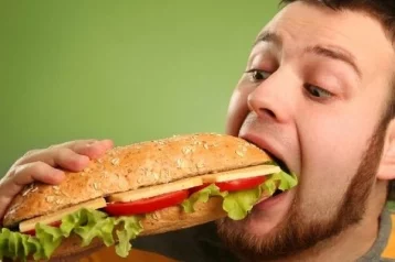 Фото: Учёные нашли способ есть много вредной пищи и не толстеть 1