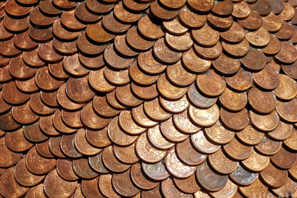 Француз нашёл клад на 700 000 евро, выкапывая яму под бассейн 