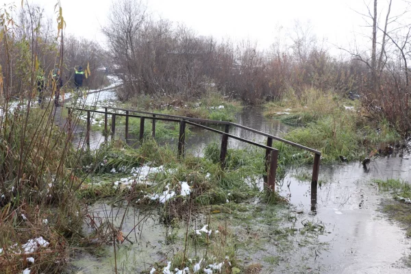 В Кемерове бобры подтопили пешеходный мост через ручей