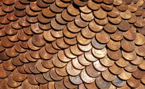 Француз нашёл клад на 700 000 евро, выкапывая яму под бассейн 