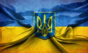 Власти Украины посчитали ущерб от введения Россией запрета на импорт сельхозтоваров