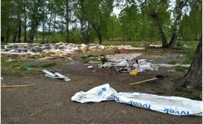В Кузбассе весной обнаружили 86 нелегальных свалок