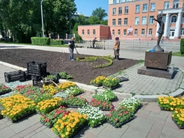 Фото: В Кемерове на клумбах высадили почти 270 тысяч цветов 2