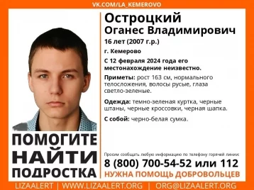 Фото: В Кемерове без вести пропал 16-летний подросток в зелёной куртке 1