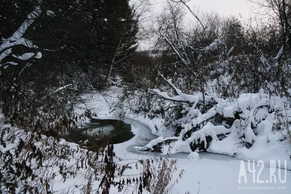 Редкий случай выживания: спасённый в Пермском крае турист остаётся в тяжёлом состоянии