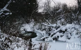 Редкий случай выживания: спасённый в Пермском крае турист остаётся в тяжёлом состоянии