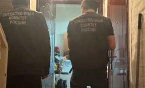 В Ингушетии пенсионер выжил после 2 выстрелов в голову
