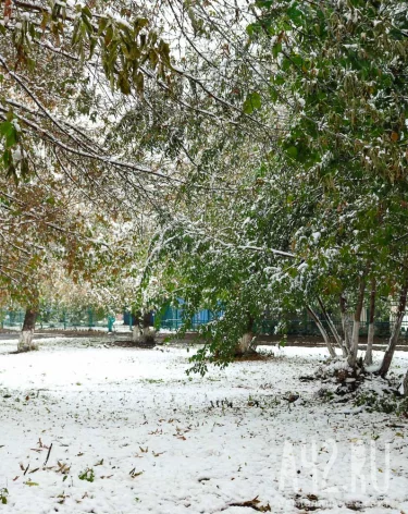 Иванов день: народные приметы на 1 ноября