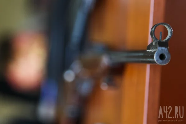 Кузбассовцу вынесли приговор за незаконный склад оружия и боеприпасов