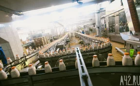 Биолог рассказала о влиянии молока на умственные способности