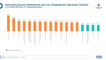 Инфографика: Кемеровостат