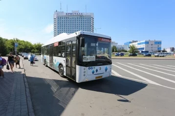 Фото: У автобусов до кемеровской Лесной Поляны появится новая остановка 1