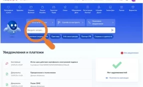 Более 2 500 кузбассовцев решили свои проблемы через Платформу обратной связи на «Госуслугах» 