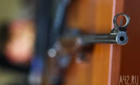 Кузбассовцу вынесли приговор за незаконный склад оружия и боеприпасов