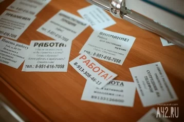 Фото: В Новокузнецке самыми востребованными остаются водители, медсёстры, продавцы и маляры 1