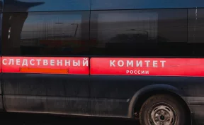 В Ульяновске в квартире обнаружены тела 27-летней женщины и её дочерей