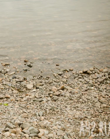 В Кузбассе суд на 90 дней остановил работу артели по добыче золота