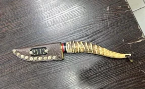 В центре Санкт-Петербурга злоумышленники похитили мужчину, угрожая ножом