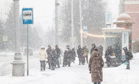 Мартовский снегопад в Кемерове