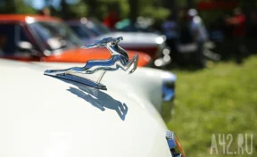 В Новокузнецке появится музей старых машин под открытым небом: коллекцию нашли случайно