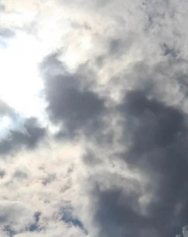 В Сириусе, где проходит Конгресс молодых учёных, объявлена угроза атаки беспилотников